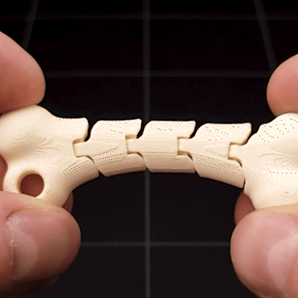 Flexible Bone keychain