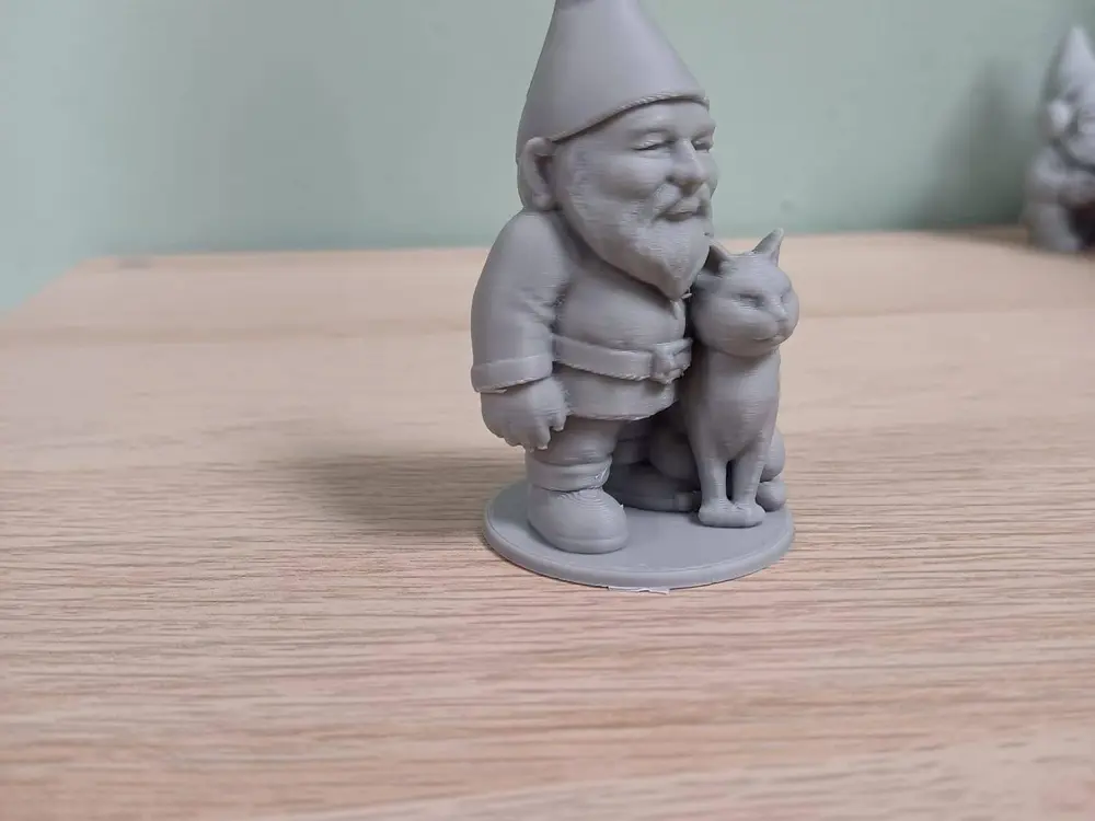 Gnome with big cat
