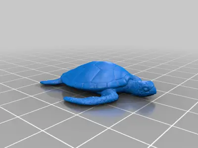 Turtle