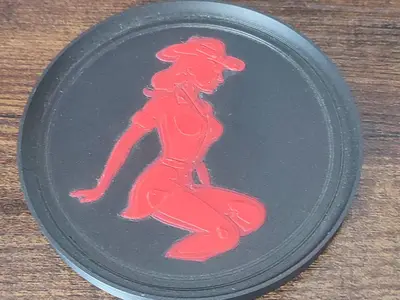 Western Coaster Set