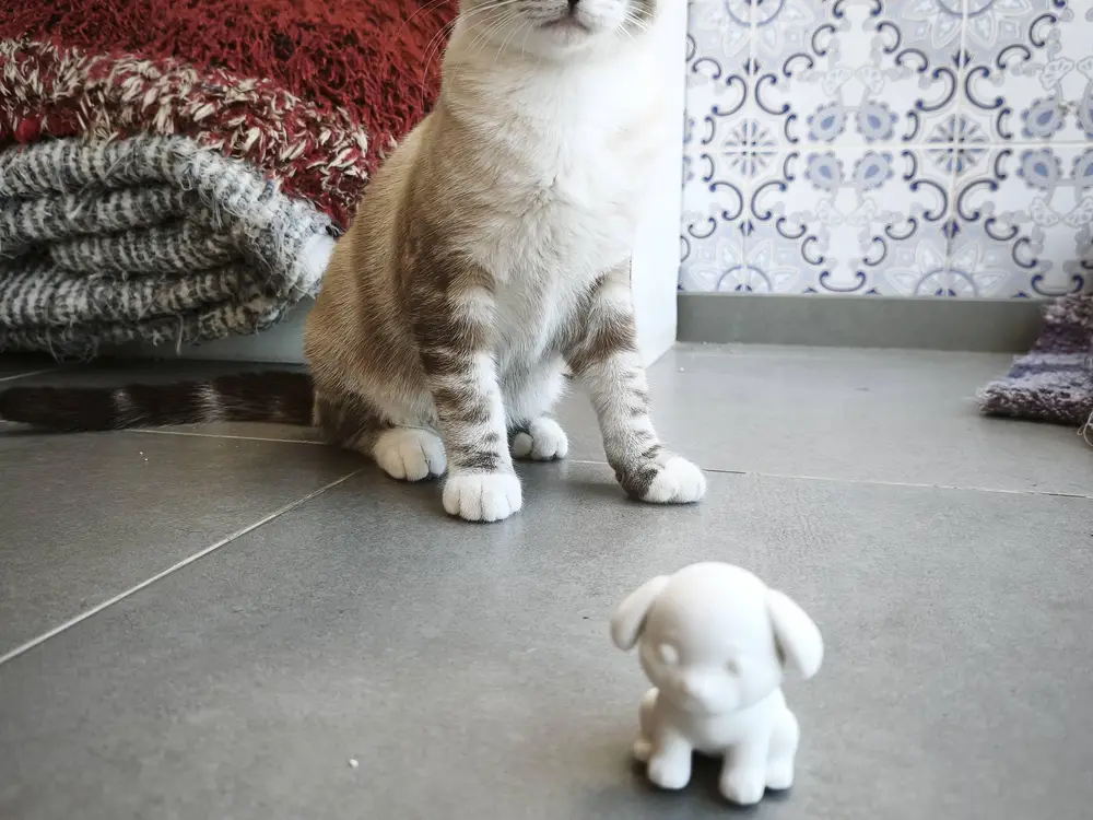 Sculpture of a dog
