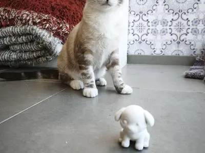 Sculpture of a dog