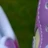 nameGame