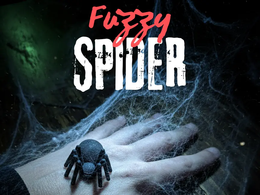 Fuzzy Spider