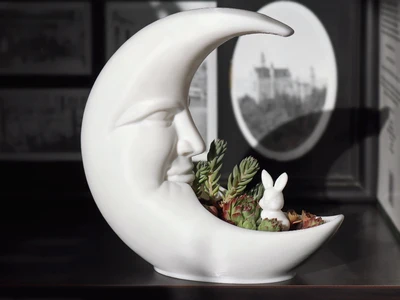 Moon Planter with Rabbit