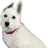 BORAXMAN