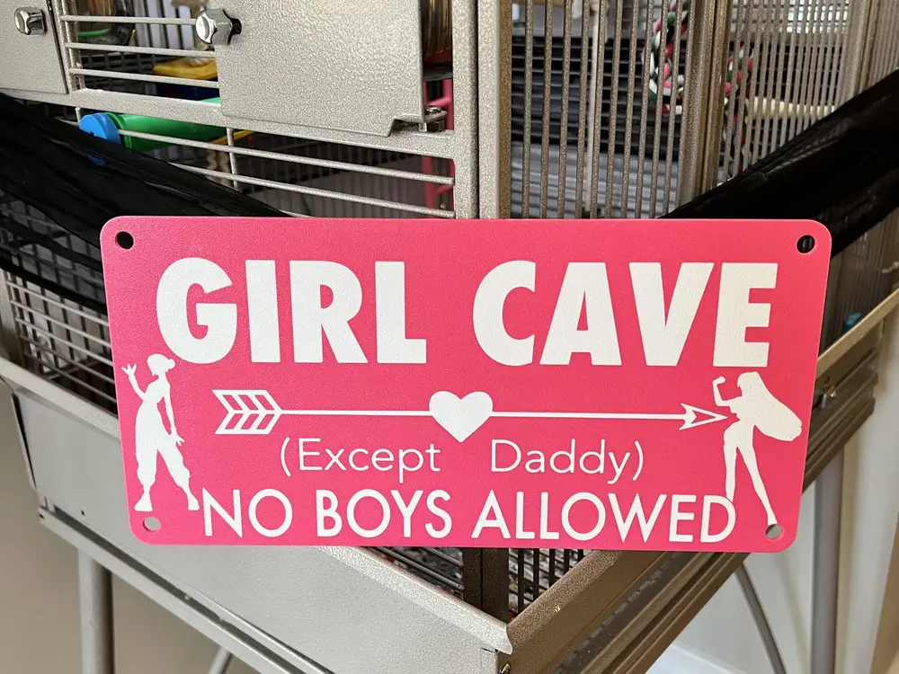 Girl Cave Sign – “No Boys Allowed (Except Daddy)”