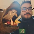 DanFlex