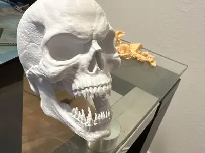 skull