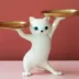 3DMagic