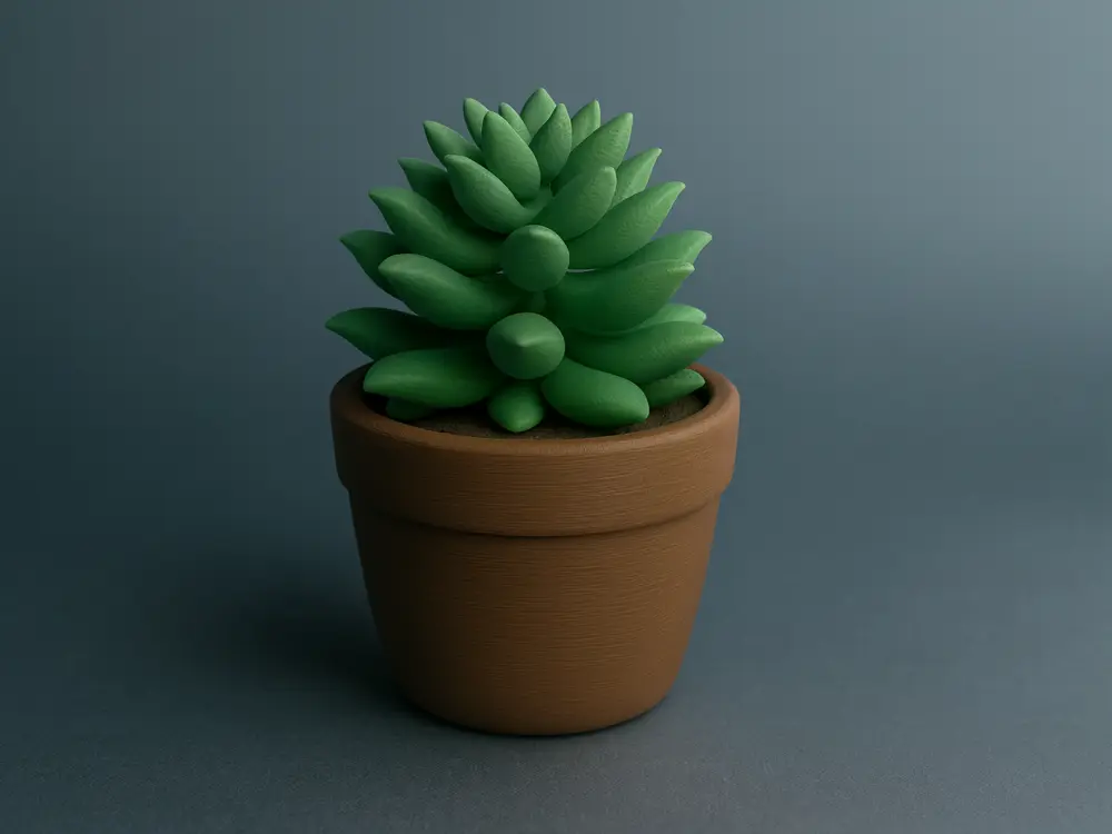 Succulent Plant (Multicolor)
