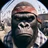 GorilloneChaddone