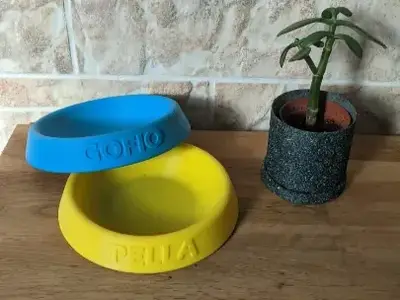 Customizable slow/plain feeder for pets
