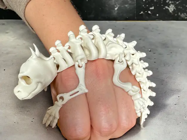 Articulated Skeleton Lizard