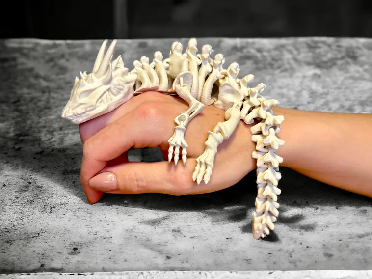 Flexi Skeleton Dragon