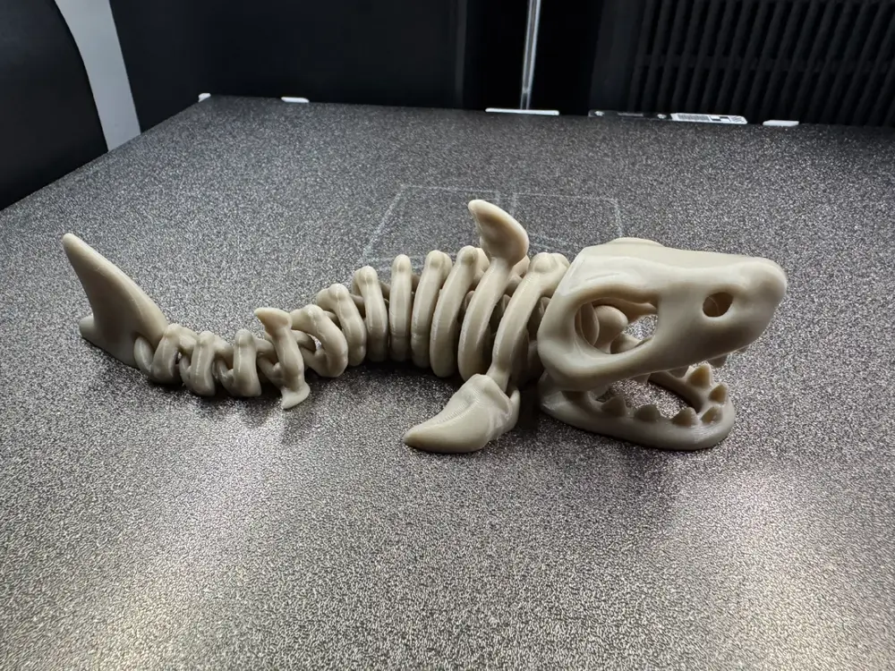 Articulated Skeleton Shark
