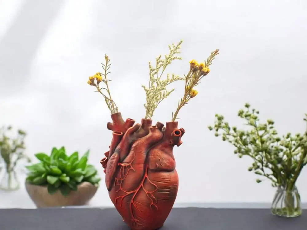 Anatomical Heart Vase