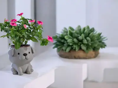 Cute Dog Planter_Vase