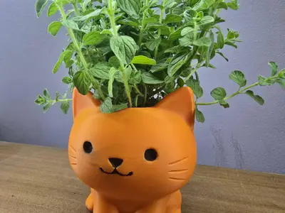 Cute Cat Planter_Vase