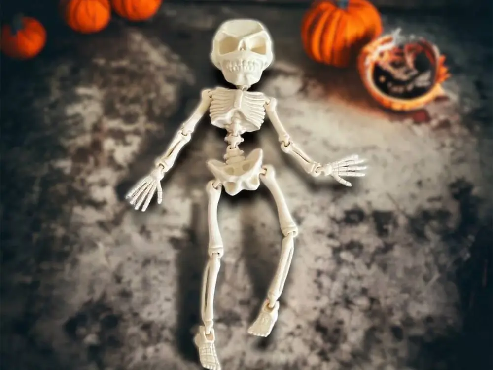 Articulated Skeleton - High Detail
