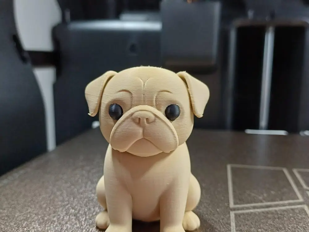 Cute Pug Puppy