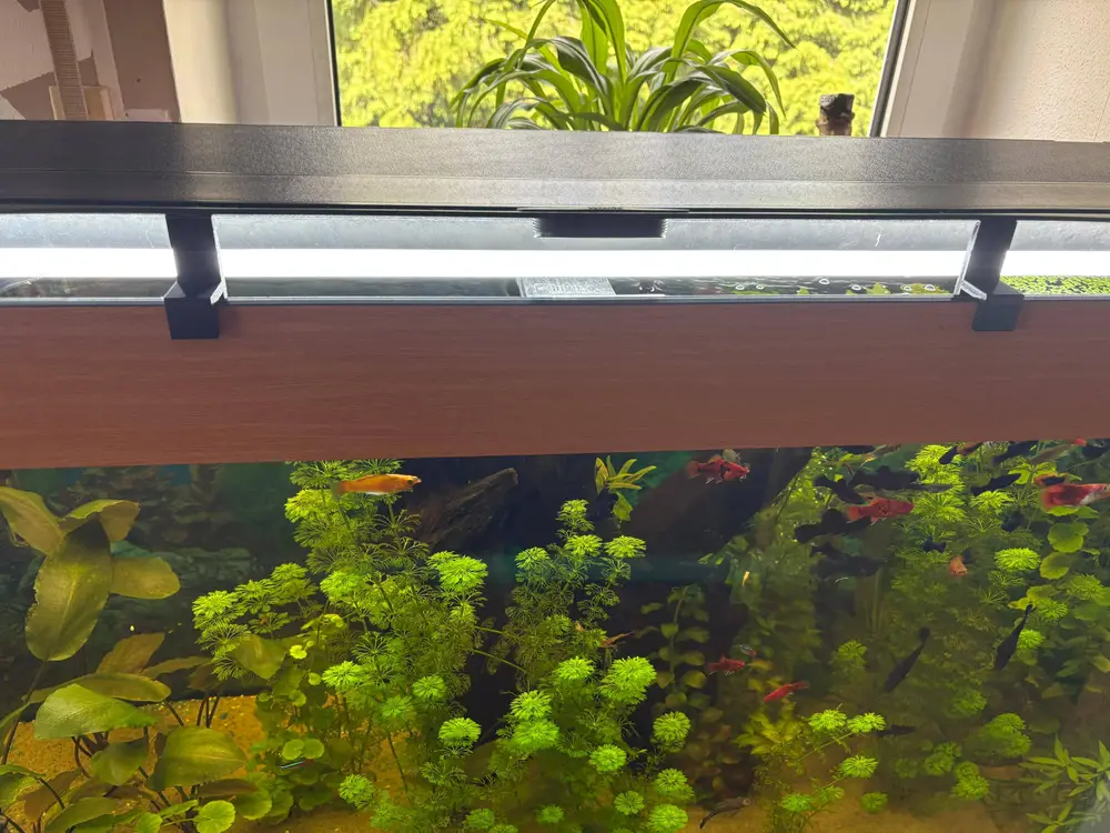 Aquarium Deckelstütze