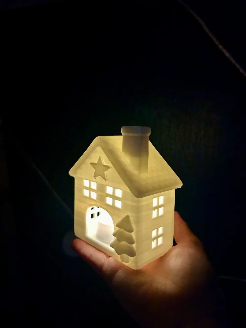 christmas light house