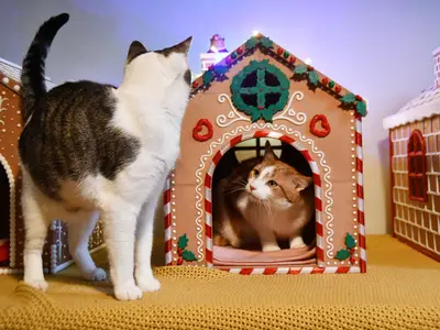 Gingerbread House Pet bed