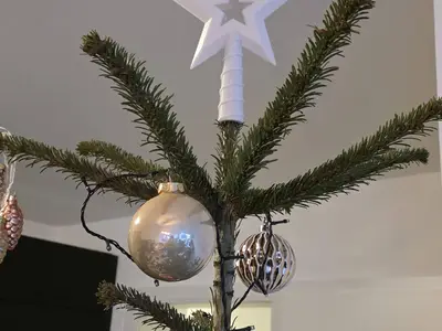 Weihnachtsstern / Christmas Star