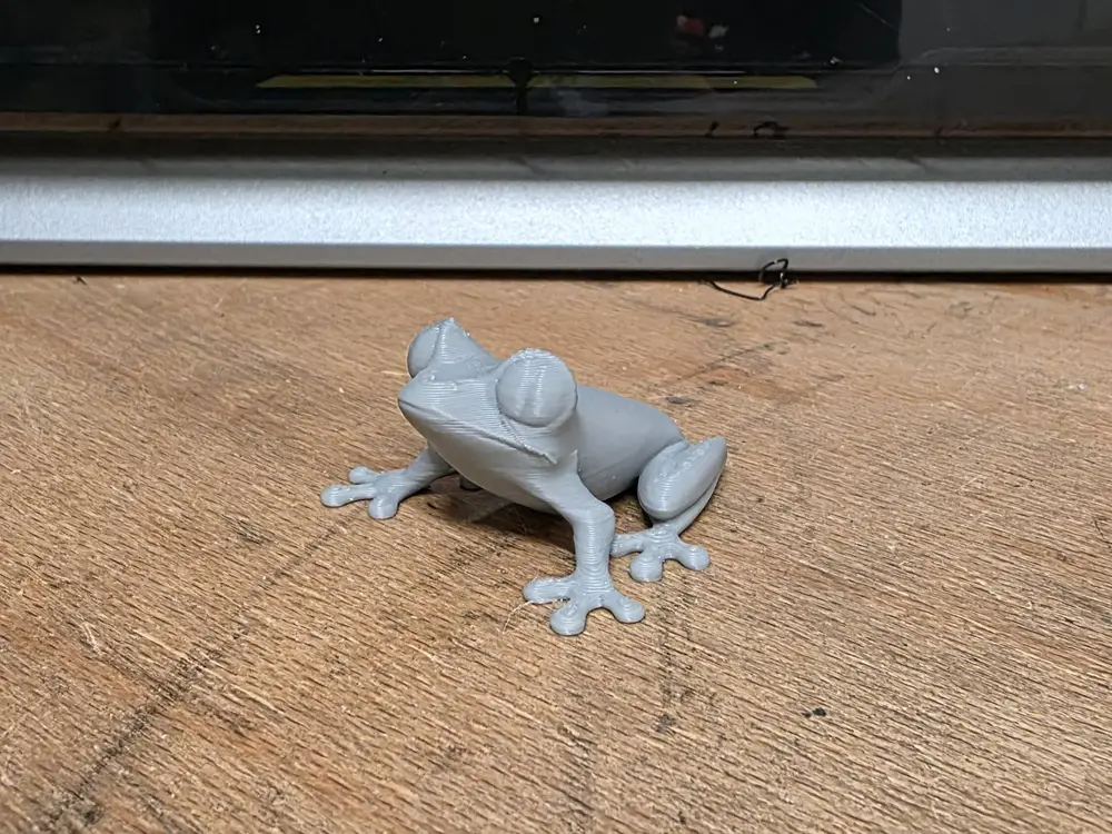Tree Frog