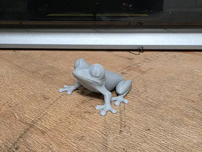 Tree Frog