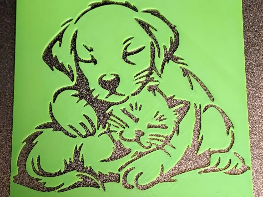 Small dog and cat