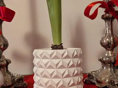 Chrismas plant pot geometric