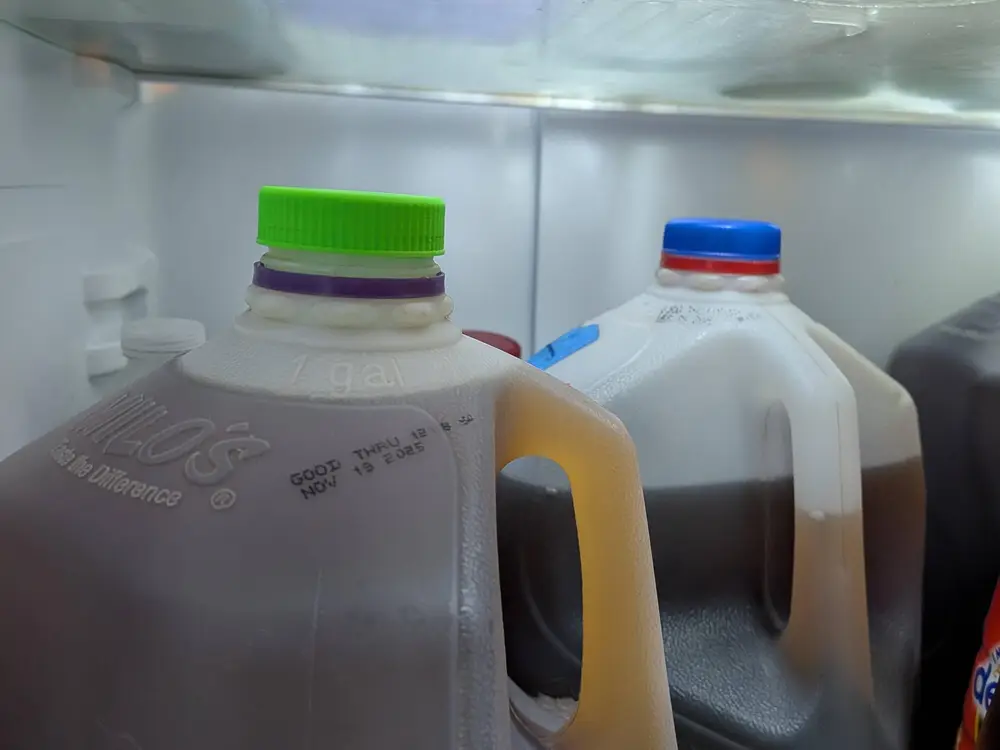 Gallon Jug Lid