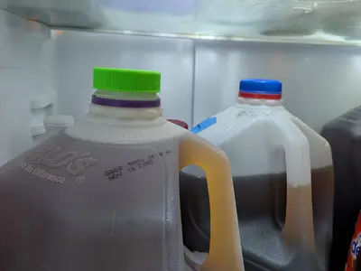 Gallon Jug Lid