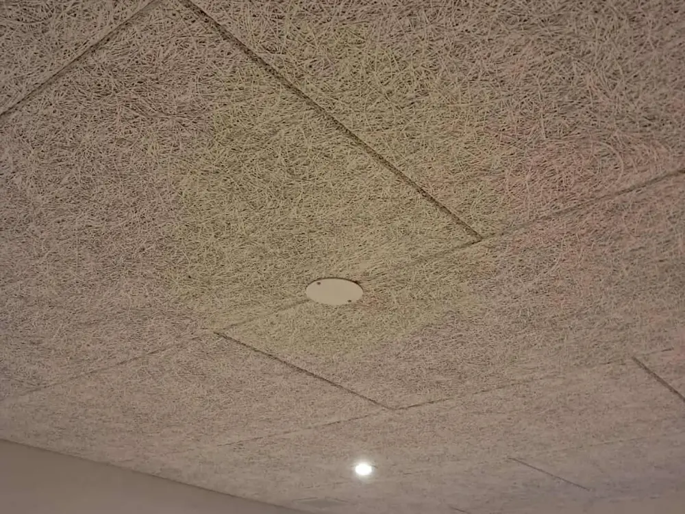 lamp socket cover