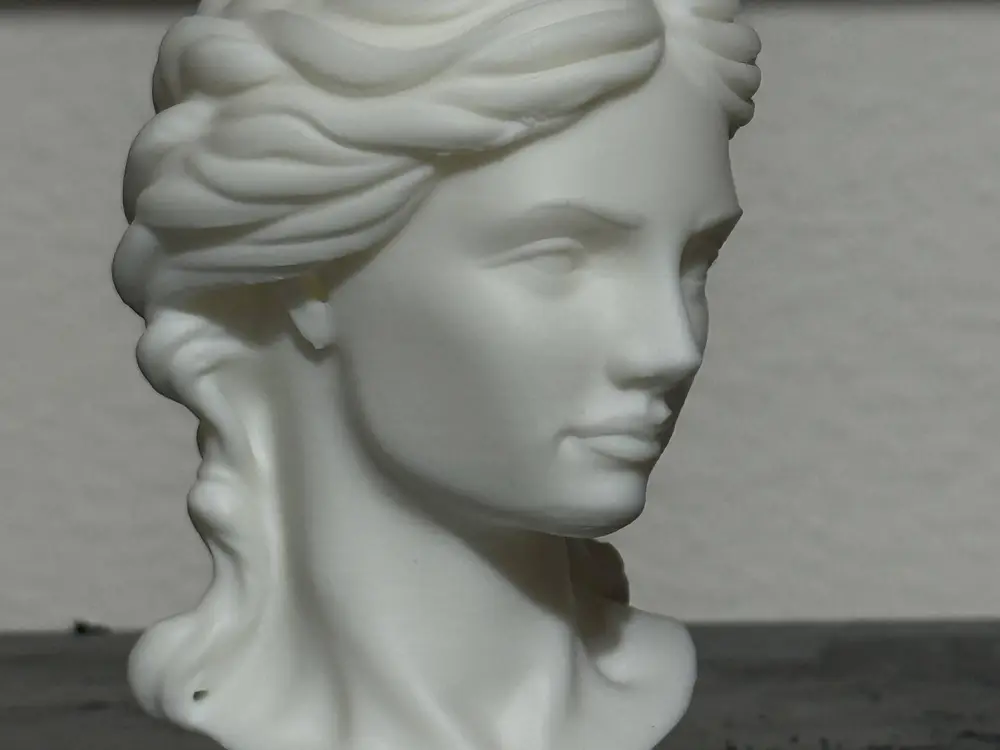 Lady Bust - 9