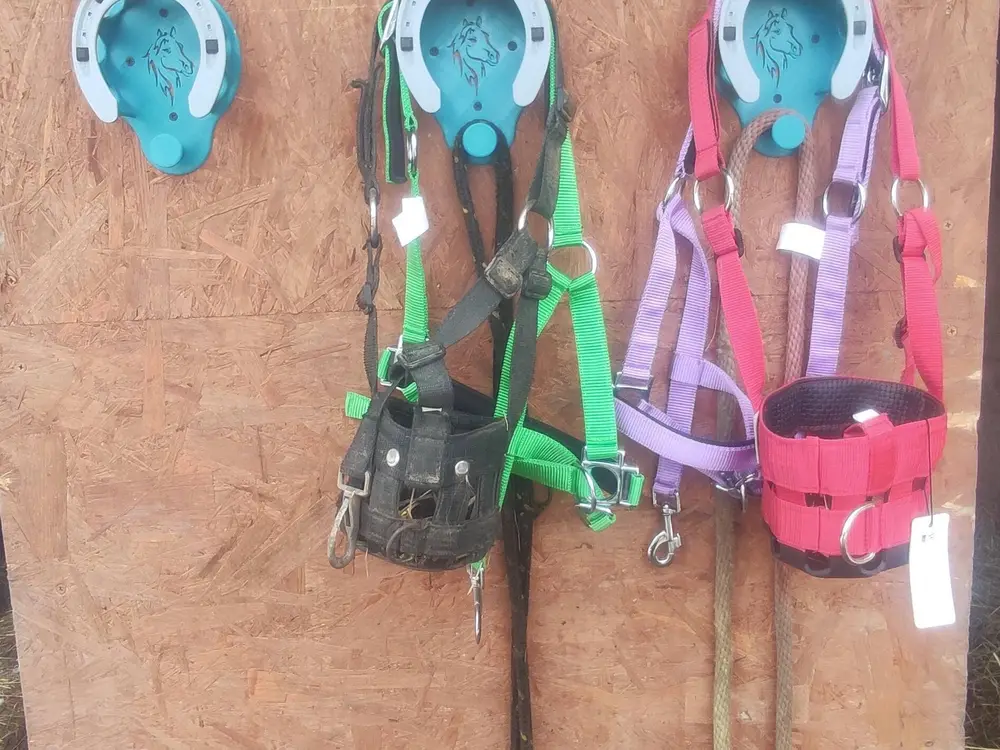 bridle hanger