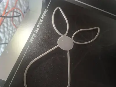 Funny-Bunny