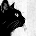 ARandomCat