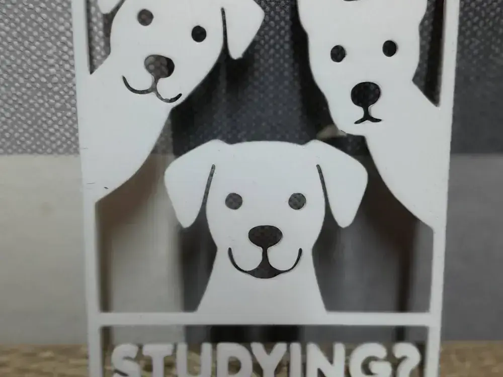 Are you Studying? Dogs