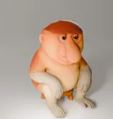 proboscis monkey on a stool
