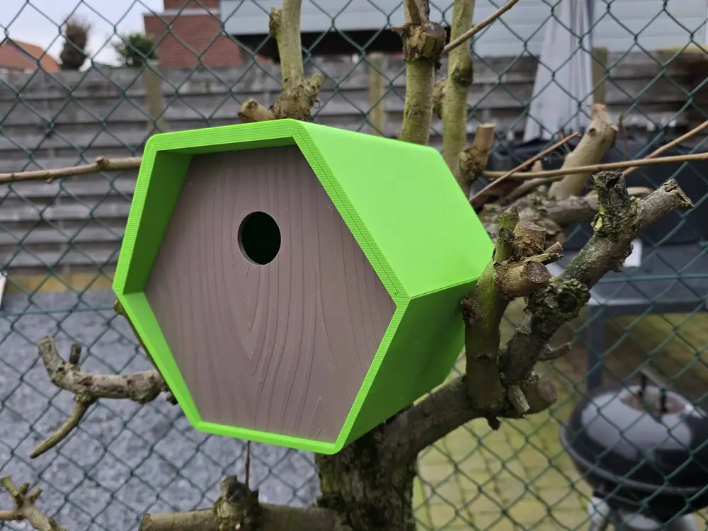 birdhouse hexagon