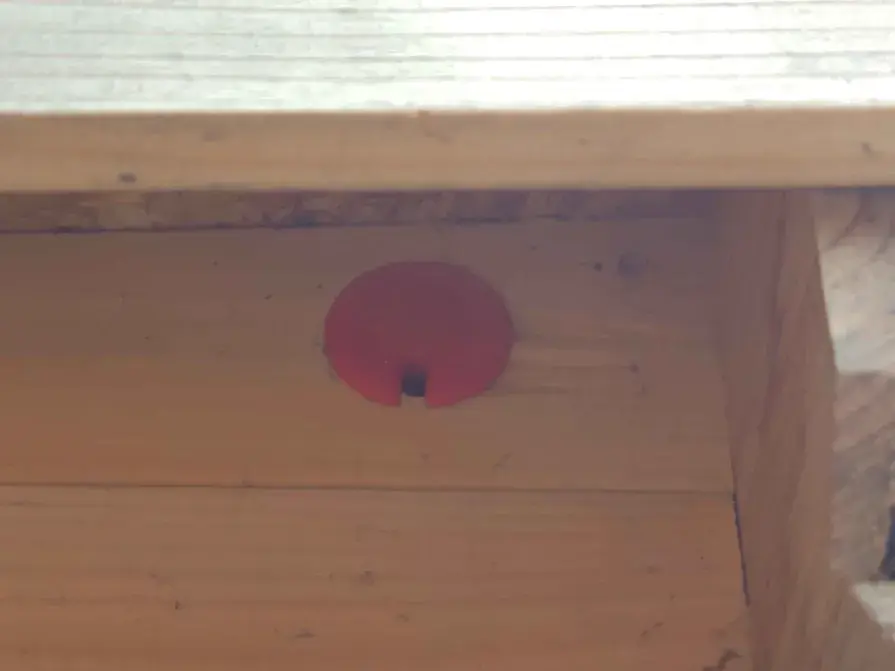 lid with place to pass cable