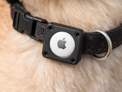 AirTag Dog Collar Holder