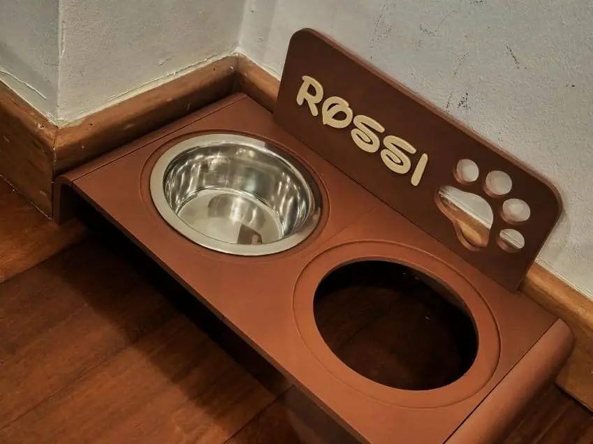 Personalized Double Pet Feeder
