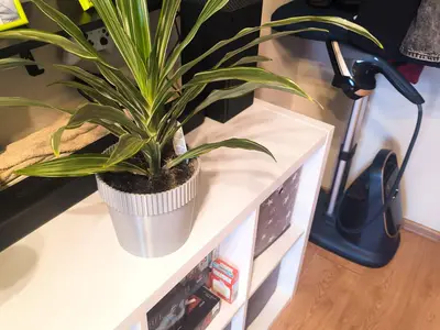Modern Minimalist Large Plant Pot Cover – 170 mm (Solid 3 mm Walls)