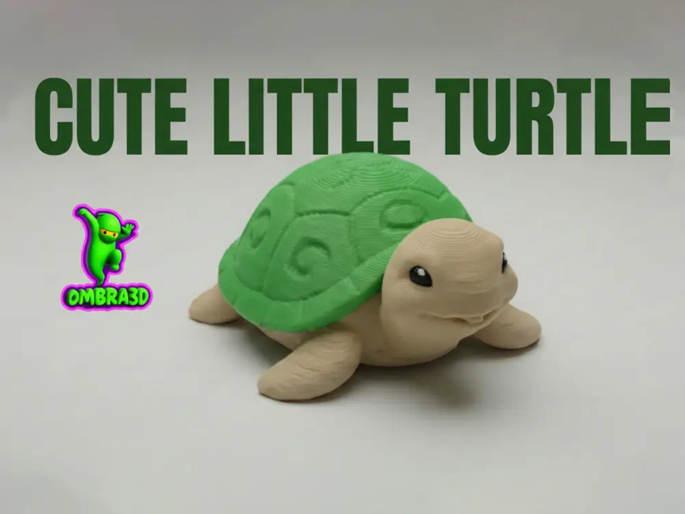 Cute Little Turtle