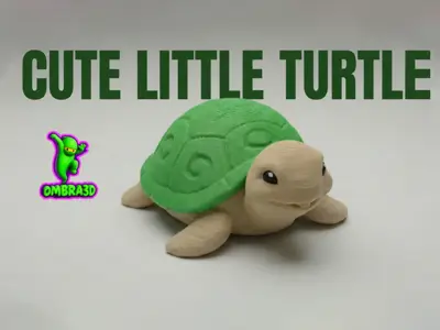 Cute Little Turtle
