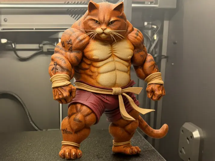 Muscular Cat